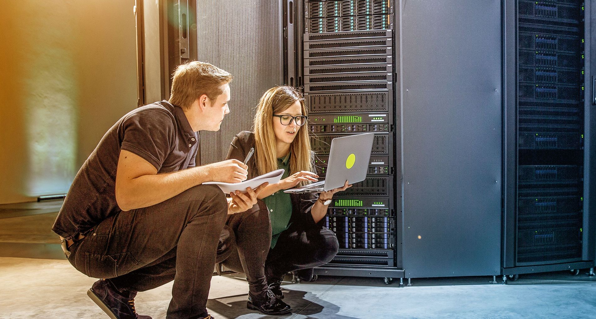  IT professionals at work